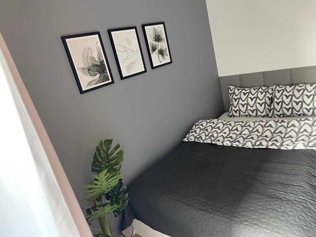 Krakow Dream Apartment 外观 照片